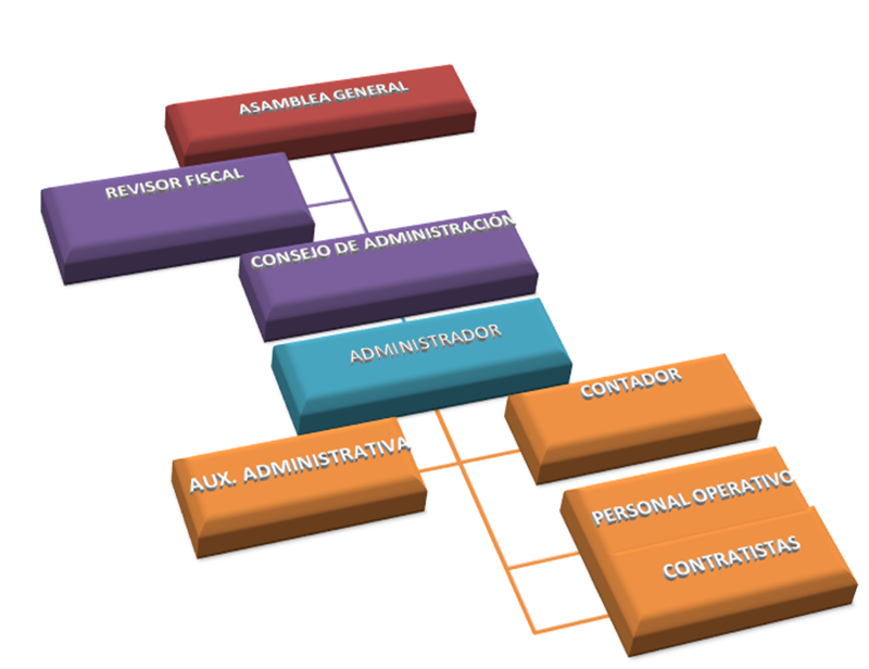 estructura organizacional furatena